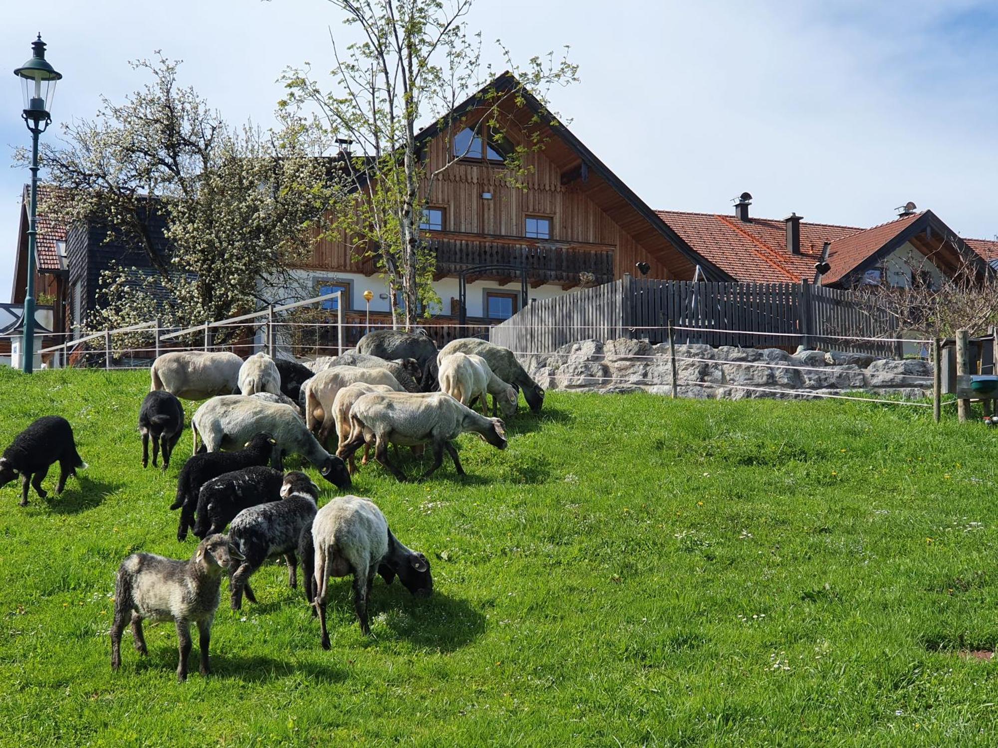 Ferienwohnung Bramsauerhof Faistenau Exterior foto